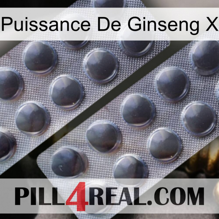 Ginseng Power X 31